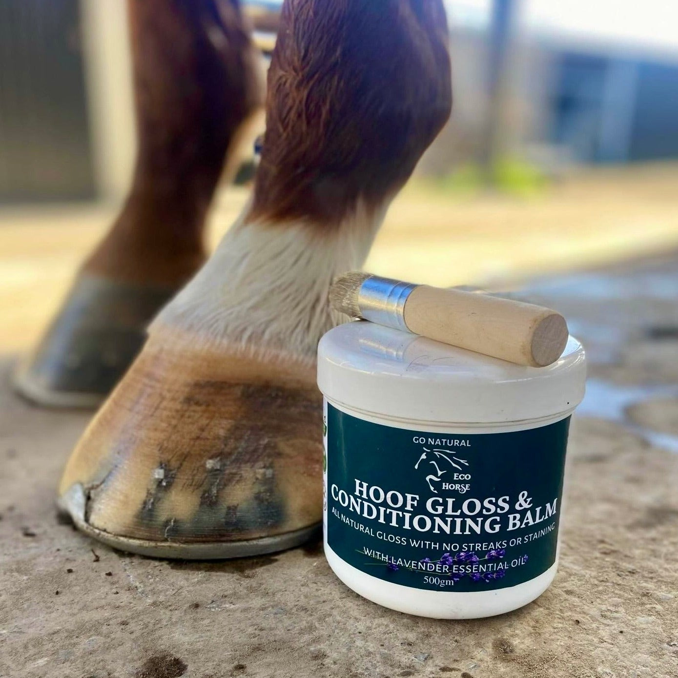 Hoof Gloss &amp; Conditioning Balm