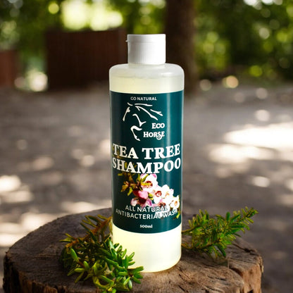 Tea Tree Shampoo