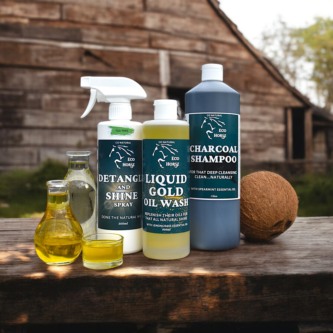 Clean and Shine Bundle